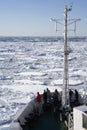 Adventure tourists on an icebreaker looking at sea ice in the Arctic