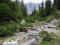 Adventure trail in mountainous forest region Royalty Free Stock Photo