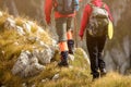 Adventure, travel, tourism, hike and people concept - smiling couple walking with backpacks outdoors Royalty Free Stock Photo