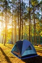 Adventures Camping and tent under the pine forest near water outdoor in morning and sunset at Pang-ung, pine forest park , Mae Hon Royalty Free Stock Photo