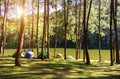 Adventures Camping and tent under the pine forest near water outdoor in morning and sunset at Pang-ung, pine forest park , Mae Hon Royalty Free Stock Photo