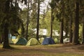 Adventures Camping tourism and tent under the view pine forest landscape near water outdoor in morning and sunset sky in raining Royalty Free Stock Photo