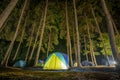 Adventures Camping tourism and tent under the view pine forest landscape near water outdoor night at Pang-ung, pine forest park , Royalty Free Stock Photo