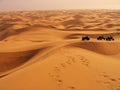 Adventures in the Namibian Sand Dunes