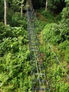 Adventures rope stares/ net and pipe bridge to climb a hill inside a tropical forest. Obstacle course inside jungle in Langkawi Ma