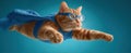 The adventurous cat soaring through the sky in a superhero costume..AI generated image Royalty Free Stock Photo