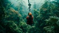 Adventurous couple zip-lining through lush forest canopies on a nature excursion during their summer vacation