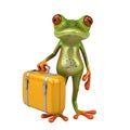 Adventurous frog with suitcase Royalty Free Stock Photo