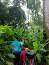 Adventurous group jungle trekking somewhere in Penang, Malaysia.