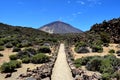 Adventurous hiking trail through volcanic landscape towards Mount Teide, Canary Islands, Spain Royalty Free Stock Photo