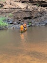 Adventurous Moment at Boti Falls in Eastern Region Ghana Royalty Free Stock Photo