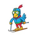 Adventurous Parrot in Disoriented Skiing Fun Royalty Free Stock Photo