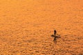 Adventurous people on a stand up paddle board is paddling during a bright and vibrant sunrise