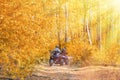 Adventurous quad biking in a sunlit autumn forest