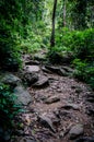 Adventurous trekking trail ravine forest landscape sunny summer day Ramkhamhaeng National Park, Sukothai, Thailand,