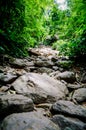 Adventurous trekking trail ravine forest landscape sunny summer day Ramkhamhaeng National Park, Sukothai, Thailand,