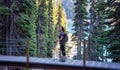 Adventurous White Caucasin Adult Woman Hiking on a trail in Canadian Nature