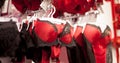 Advertise, Sale, Fashion concept - Close up of woman`s hand choosing underwear on hangers in the supermarket