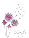 Advertising banner dandelion illustration. Floral design vector summer nature spring. Drawing background flower card