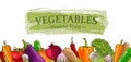 Advertising banner with fresh Vegetebles hand-drawn illustration