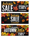 Advertising banners set - Autumn Sale at the end of season with bright fall leaves. Invitation for shopping with 50 Royalty Free Stock Photo