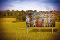 Advertising billboard, immersed in nature, informs the construction of a new residential area.The image on the billboard is my