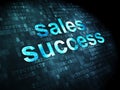Advertising concept: Sales Success on digital background