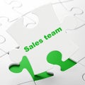 Advertising concept: Sales Team on puzzle background