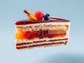 A slice of multilayer cake, chocolate, cream, jelly and sponge cake. Isolated on light blue background