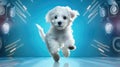 Advertising portrait, banner, dansing jumping disco dog with white fur, isolated on blue background Royalty Free Stock Photo