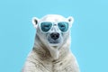 White polar bear in sunglasses against a stylish blue backdrop