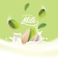 Realistic Pistachio splash vector background illustration