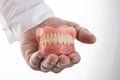 False teeth prosthesis.