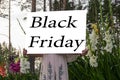 Advertising space for you in Billboard, blank card, UPS cute baby keeps Mockup in nature among flowers and pines. Black Friday is Royalty Free Stock Photo