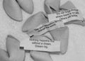 Advice fortune cookies for graduates - Dream, Use your Educaiton, Forge through Royalty Free Stock Photo