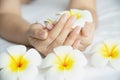 ady hand holding beautiful white yellow plumeria flowers on white bed Royalty Free Stock Photo