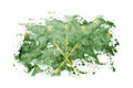Adygea, Russia flag background painted on white paper with watercolor Royalty Free Stock Photo