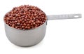 Adzuki, azuki or aduki beans in an American cup measure Royalty Free Stock Photo