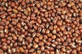 Adzuki beans Royalty Free Stock Photo