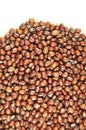 Adzuki beans Royalty Free Stock Photo