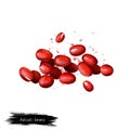 Adzuki beans, azuki or aduki, red mung bean digital art illustration isolated on white. Organic healthy food. Green