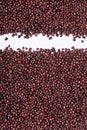 Adzuki beans azuki, aduki, red mung beans. Background Royalty Free Stock Photo