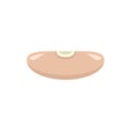 Adzuki kidney bean icon flat isolated vector