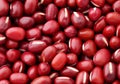 Adzuki Red Bean Royalty Free Stock Photo