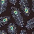 Aeathetic peacock feathers seamless pattern. Tropical bird feathers background. Peacock eye and plumes abstract design for textile Royalty Free Stock Photo