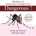 Aedes Albopictus dangerous card Royalty Free Stock Photo