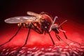 Aedes mosquito that carries dengue fever, Zika virus is sucking blood on a person\'s skin. Generative Ai