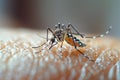 Aedes Mosquitoe bite and feeding blood on human skin ,AI generated Royalty Free Stock Photo