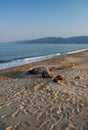 Aegean sea beach Royalty Free Stock Photo