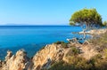 Aegean sea coast Chalkidiki, Greece. Royalty Free Stock Photo